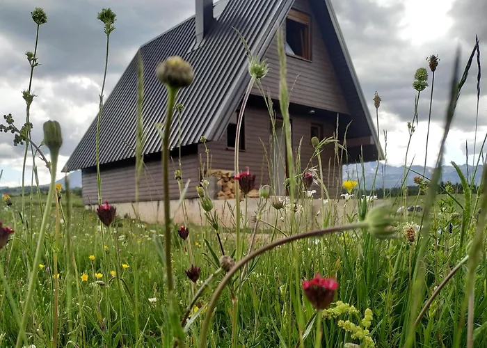 Brown Cabin