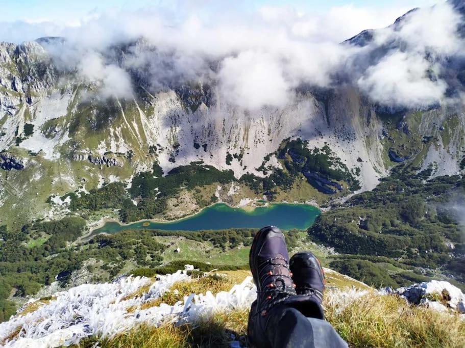 Brvnara Brown Zabljak (Zabljak)